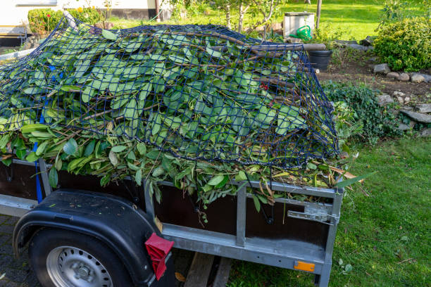 Professional Junk Removal Services in Maquoketa, IA